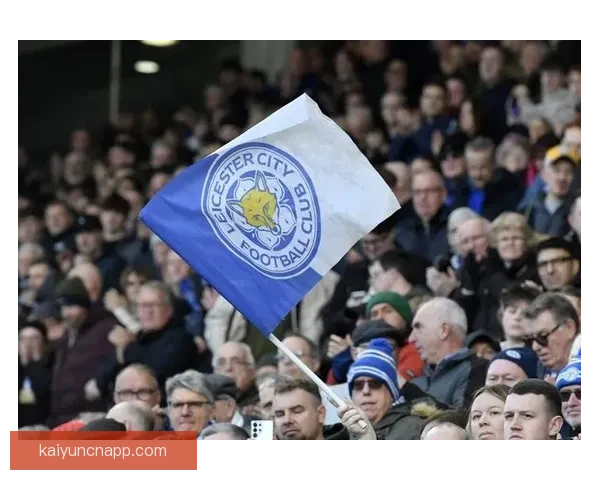 蓝狐近十五轮仅得十一分陷入英冠降级区保级压力骤增